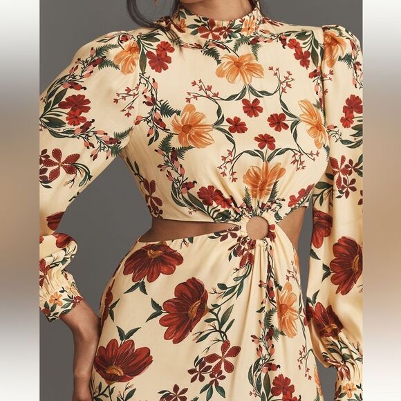 Farm Rio x Anthropologie Long Sleeve Floral Print Cutout Maxi Dress - Picture 2 of 9